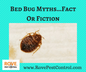 Bed Bug Myths...Fact Or Fiction, bed bug facts, bed bug myths, myths about bed bugs, facts about bed bugs 