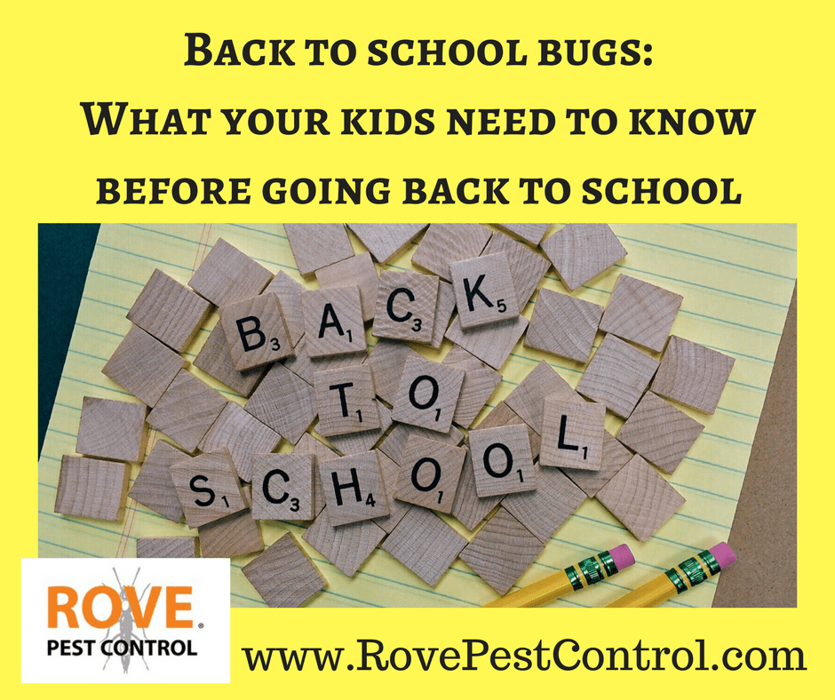 What To Know Before Going Back To School - Rove Pest Control