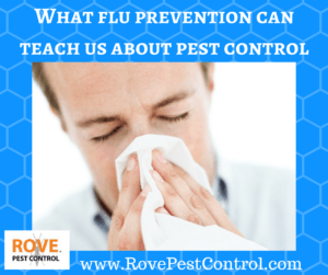 What flu prevention can teach us about pest control, how to prevent the flu, pest control tips, pest control, flu prevention