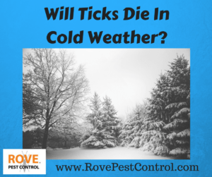 will ticks die in cold weather, do ticks die in the winter, does the winter kill off ticks, do ticks die in the winter, ticks, pest control, tick removal,