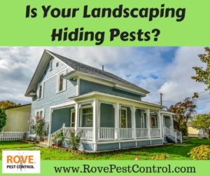 Is your landscaping hiding pests, pests, pest, landscaping, pest control, pest control tips