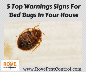 5 Top Warnings Signs For Bed Bugs In Your House, bed bugs, warning signs of bed bugs, bed bug warning signs, warning signs of a bed bug problem, warning signs of a bed bug infestation, do i have bed bugs, bed bugs in your home, bed bugs in your house, warning signs for bed bugs, warning signs of bed bugs in your house