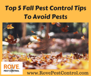 pest control, fall pest control, fall pest control tips, pest control tips, tips for fall pest control, avoid pests, avoid pests in the fall, how to get rid of fall pests, pest removal, fall pest removal, 