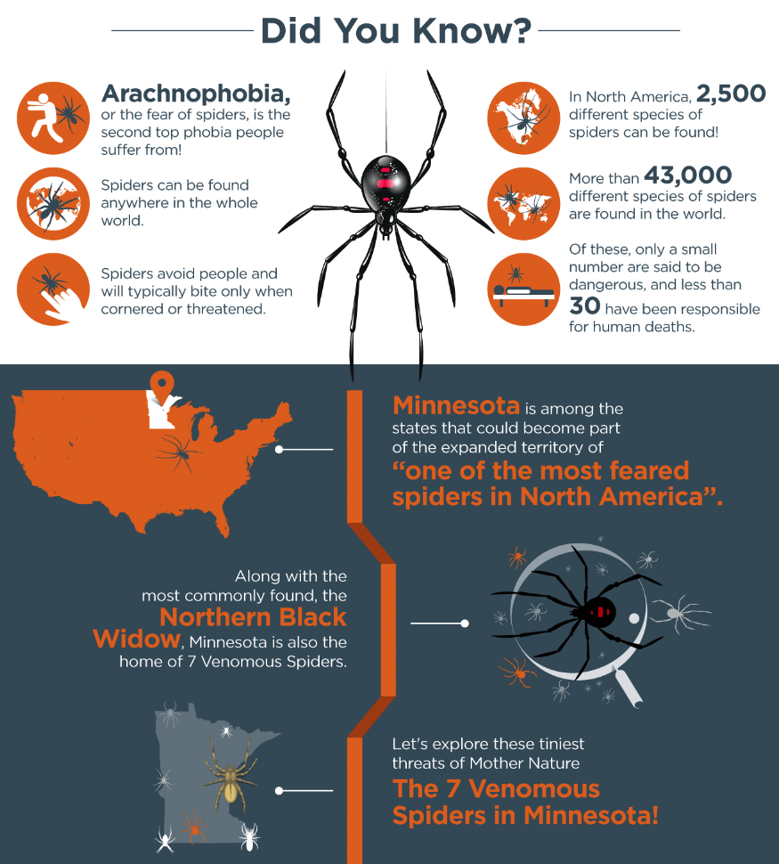 Venomous Spider Bites in the United States