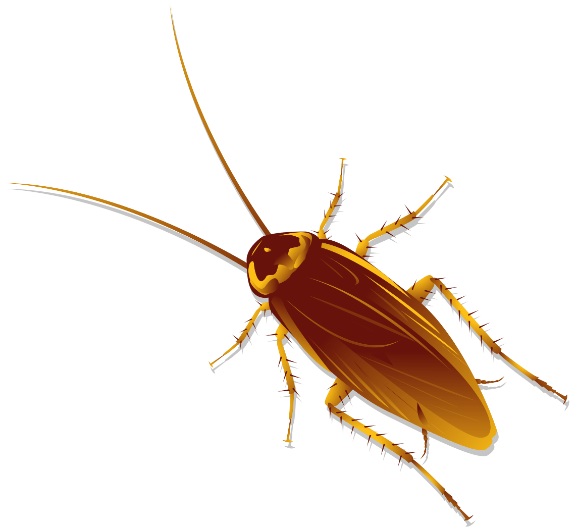 Cockroach Extermination in Minnesota Rove Pest Control