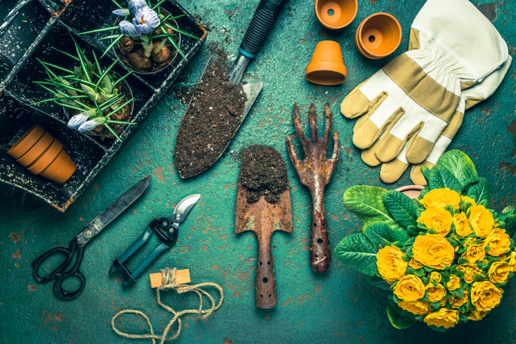 Spring gardening concept - gardening tools with plants, flowerpots and soil.