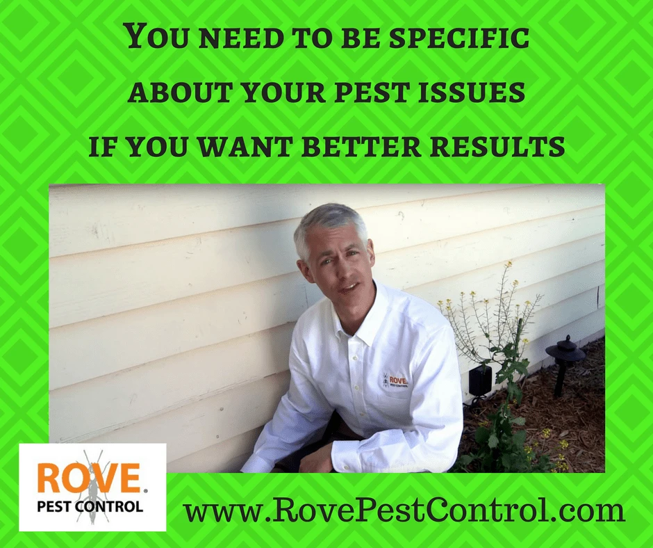 you-need-to-be-specific-about-your-pest-issues-if-you-want-better-results, pest control service, pest control, minnesota pest control, minneapolis pest control, pest issues