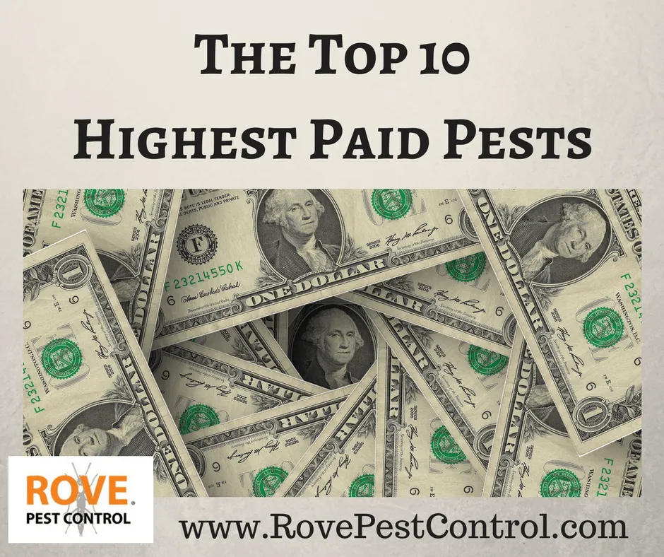 The Top 10 Highest Paid Pests