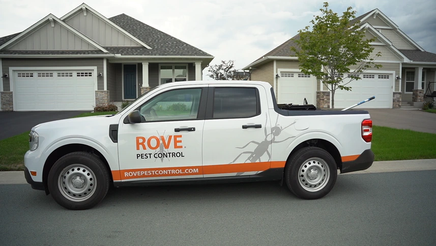 Rove Pest Control in Mesa, AZ