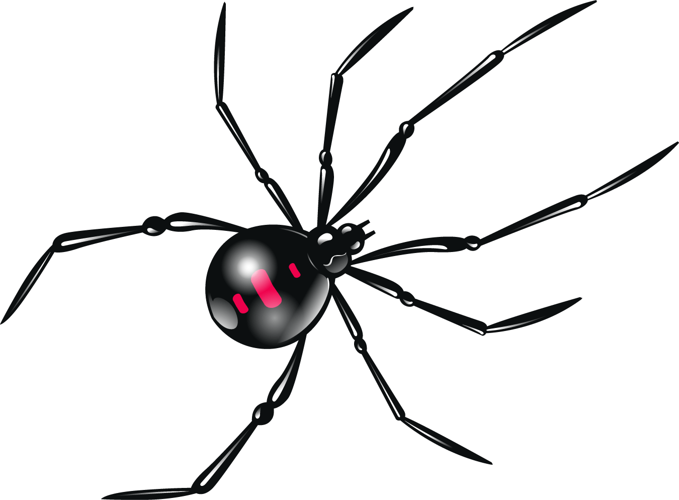 Cartoon black widow spider