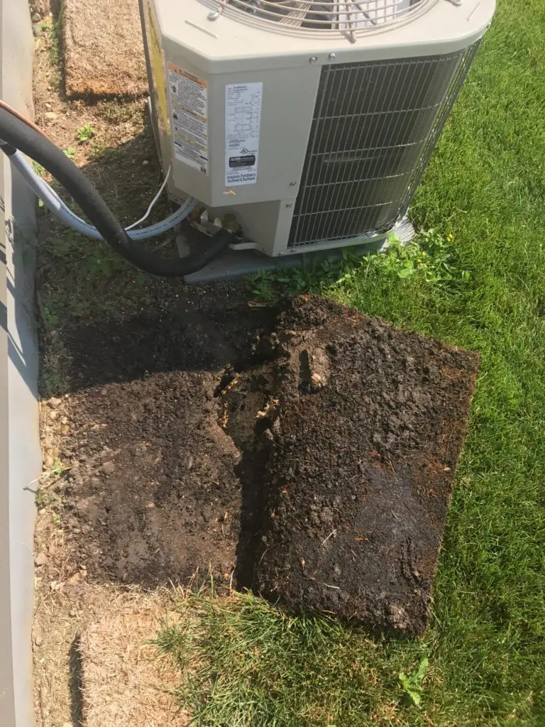 Wasp nest near air conditioner