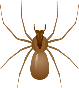 Zoomed in cartoon spider