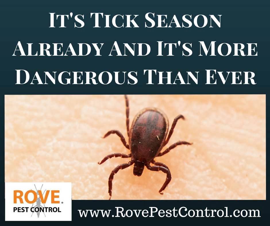 ticks, tick prevention, tick season, lyme disease,