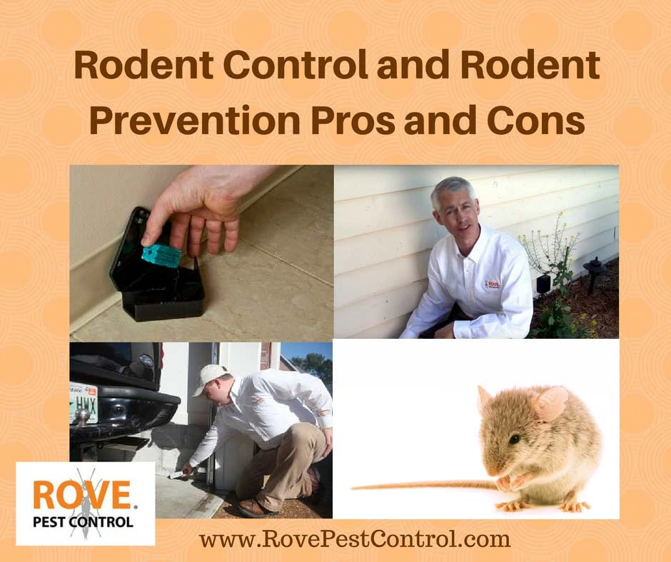 rodent-control-and-rodent-prevention-pros-and-cons, how to get rid of rodents, getting rid of rodents, pest control, rodent pest control, rodent control, rodent prevention