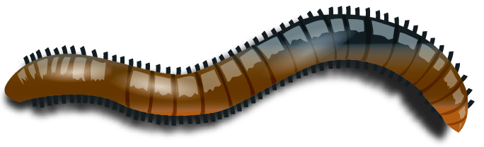 Blue and brown cartoon millipede