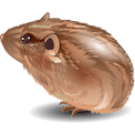 brown cartoon vole