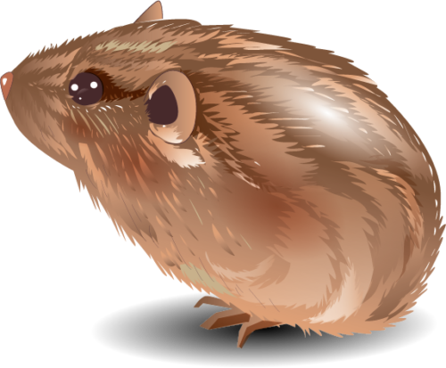 zoomed in brown cartoon vole