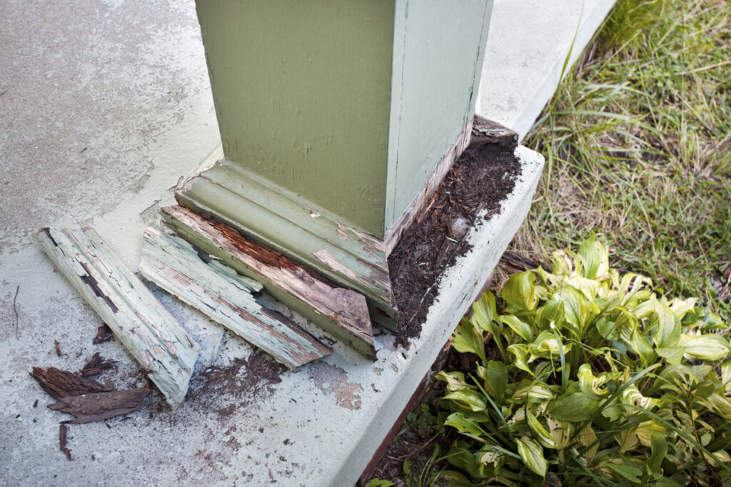 Close-up of exterior wood trim with visible termite damage and deteriorated siding near a home's foundation.