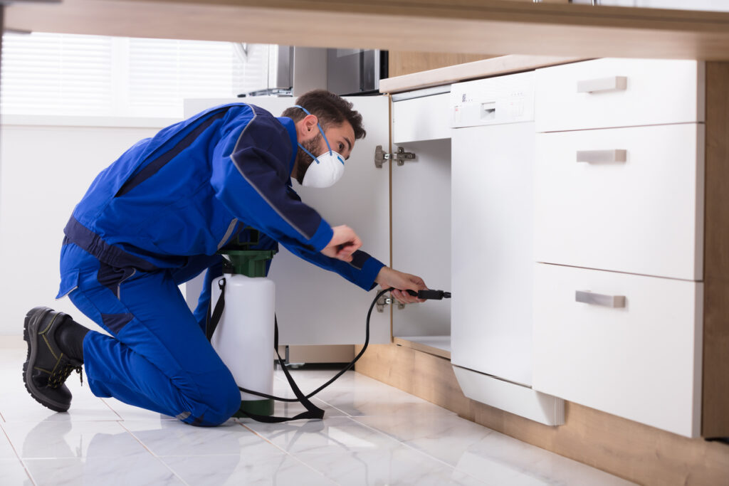 Pest control technician applying pest control treatment beneath a kitchen sink cabinet.